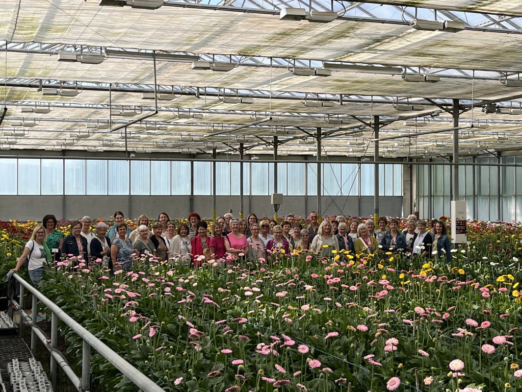 Blumenmeer